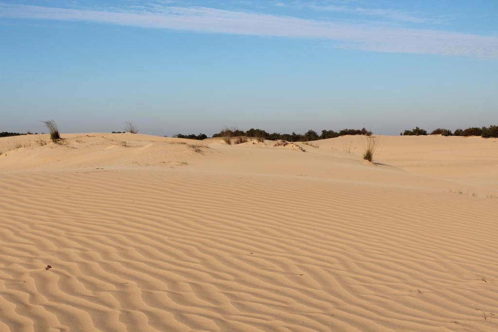 Natuurpoort Van Loon Loon op Zand Екстер'єр фото